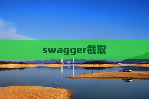 swagger截取